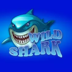 Wild Shark