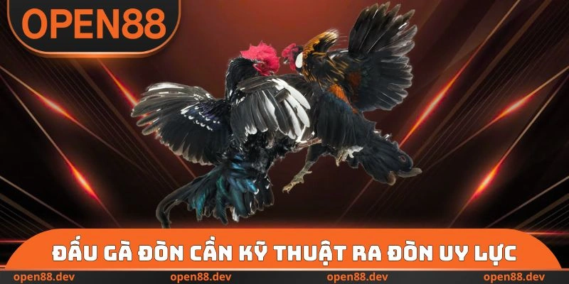 Đấu gà đòn cần kỹ thuật ra đòn uy lực