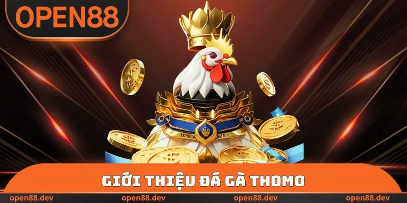 Giới thiệu đá gà thomo