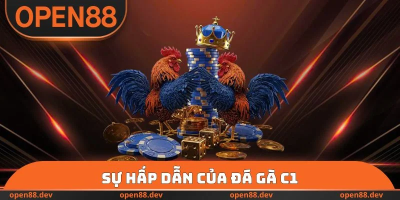 Sự hấp dẫn của đá gà C1