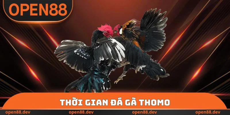 Thời gian đá gà thomo